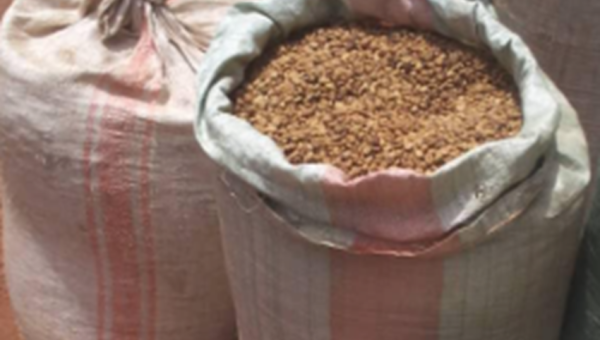 Contrebande déjouée à Ngozi : 50 kilos de café saisis par la police